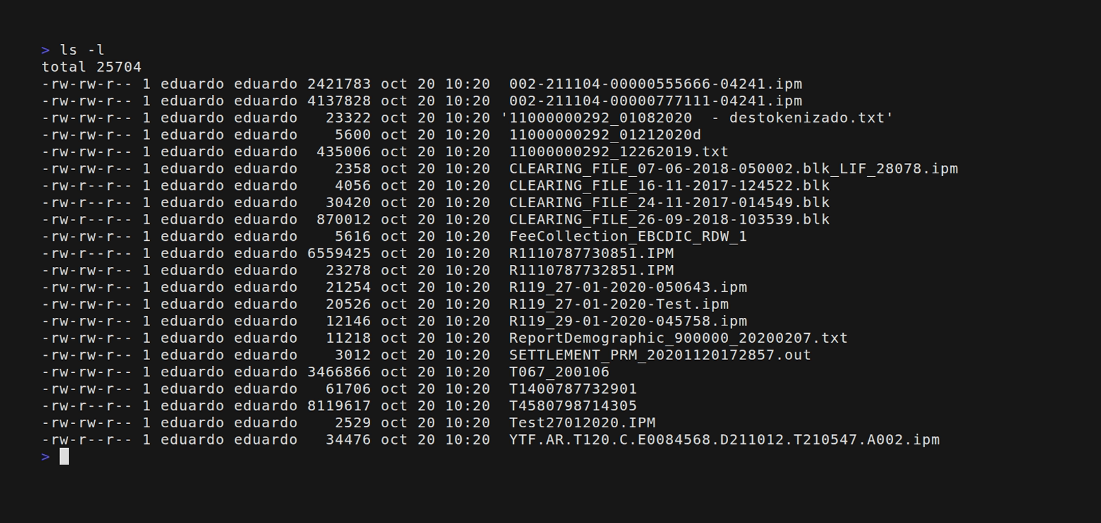 List files in a directory using ls